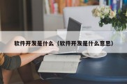 软件开发是什么（软件开发是什么意思）